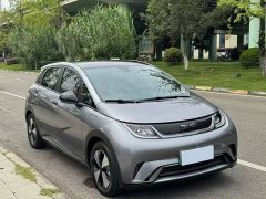 BYD Dolphin 2023 420km Fashion Edition - ფოტო 1