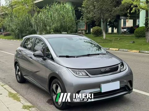2024 BYD Dolphin 2023 420km Fashion Edition - ავტომობილი ჩინეთიდან