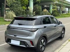 BYD Dolphin 2023 420km Fashion Edition - ფოტო 4