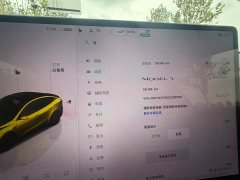Tesla Model Y Rear-Wheel Drive - ფოტო 16