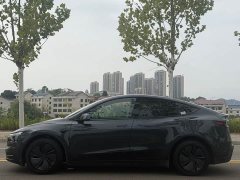 Tesla Model Y Rear-Wheel Drive - ფოტო 20