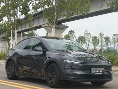 Tesla Model Y Rear-Wheel Drive - ფოტო 3