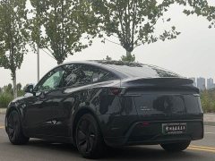 Tesla Model Y Rear-Wheel Drive - ფოტო 5