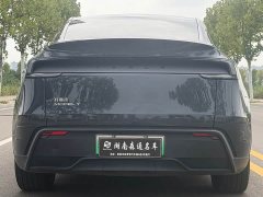 Tesla Model Y Rear-Wheel Drive - ფოტო 6