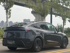 Tesla Model Y Rear-Wheel Drive - ფოტო 7
