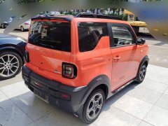 Geely Panda 200km Panda Knight - ფოტო 3