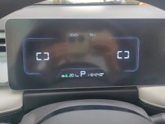 Geely Geometry E Firefly 401KM Linglong Tiger 4-Seater - ფოტო 14