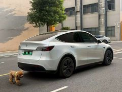 Tesla Model Y 2022 Facelift Rear-Wheel Drive - ფოტო 2