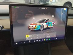 Tesla Model 3 2022 Rear-Wheel Drive - ფოტო 13