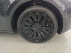 Tesla Model Y 2024 Rear-Wheel Drive - ფოტო 6