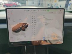 Tesla Model 3 2023 Rear-Wheel Drive - ფოტო 12