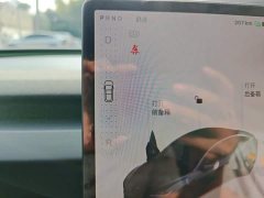 Tesla Model 3 2023 Rear-Wheel Drive - ფოტო 15