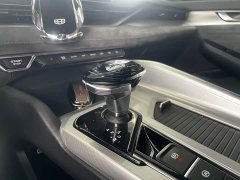 Geely Xingui Xingrui 2.0T Diesel Exclusive Cyan Green Edition - ფოტო 11