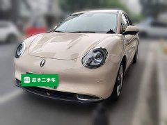 ORA Good Cat 2023 401km Standard Range Luxury LFP - ფოტო 1