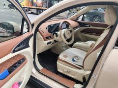 ORA Good Cat 2023 401km Standard Range Luxury LFP - ფოტო 12