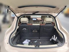 ORA Good Cat 2023 401km Standard Range Luxury LFP - ფოტო 15