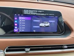 ORA Good Cat 2023 401km Standard Range Luxury LFP - ფოტო 20
