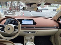 ORA Good Cat 2023 401km Standard Range Luxury LFP - ფოტო 5