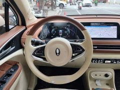 ORA Good Cat 2023 401km Standard Range Luxury LFP - ფოტო 6