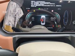 ORA Good Cat 2023 401km Standard Range Luxury LFP - ფოტო 8