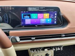 ORA Good Cat 2023 401km Standard Range Luxury LFP - ფოტო 9