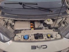 BYD Seagull 2025 305km Freedom Edition - ფოტო 16