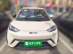 BYD Seagull 2025 305km Freedom Edition - ფოტო 2