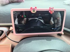BYD Seagull 2025 305km Freedom Edition - ფოტო 8