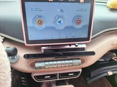 BYD Seagull 2025 305km Freedom Edition - ფოტო 9