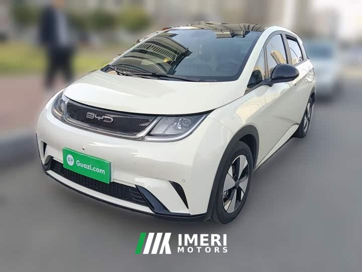 BYD Dolphin 2023 420km Fashion Edition - ავტომობილი ჩინეთიდან