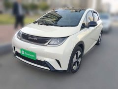 BYD Dolphin 2023 420km Fashion Edition - ფოტო 1