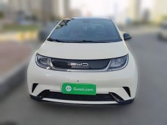 BYD Dolphin 2023 420km Fashion Edition - ფოტო 2