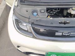 BYD Dolphin 2023 420km Fashion Edition - ფოტო 20