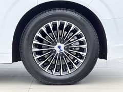 Denza BYD Denza D9 2022 DM-i 1040 Premium - ფოტო 11