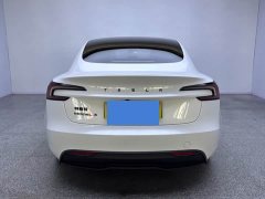 Tesla Model 3 2023 Rear-Wheel Drive - ფოტო 8