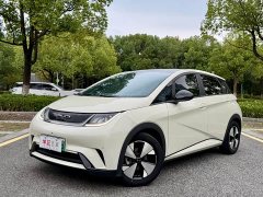 BYD Dolphin 420km Fashion Edition - ფოტო 1