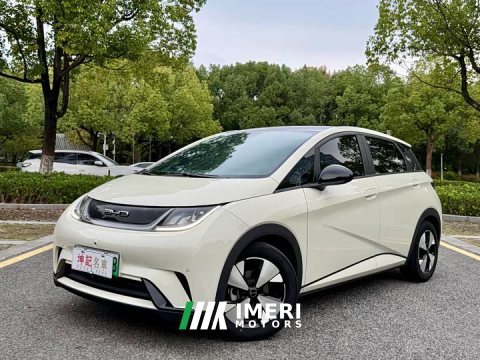 2023 BYD Dolphin 420km Fashion Edition - ავტომობილი ჩინეთიდან