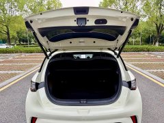BYD Dolphin 420km Fashion Edition - ფოტო 16