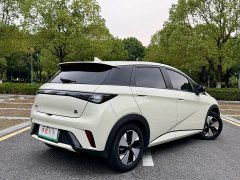 BYD Dolphin 420km Fashion Edition - ფოტო 19