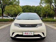 BYD Dolphin 420km Fashion Edition - ფოტო 2