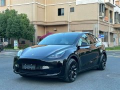 Tesla Model Y Rear-Wheel Drive - ფოტო 1