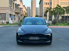 Tesla Model Y Rear-Wheel Drive - ფოტო 2