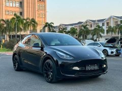 Tesla Model Y Rear-Wheel Drive - ფოტო 3