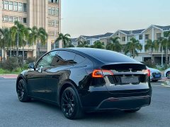 Tesla Model Y Rear-Wheel Drive - ფოტო 4