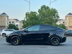 Tesla Model Y Rear-Wheel Drive - ფოტო 5