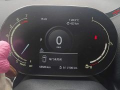 BMW MINI Countryman 1.5T Cooper All4 Connoisseur - ფოტო 14