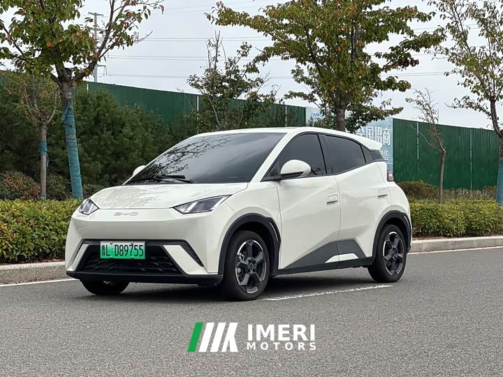 BYD Seagull Freedom Edition - ავტომობილი ჩინეთიდან