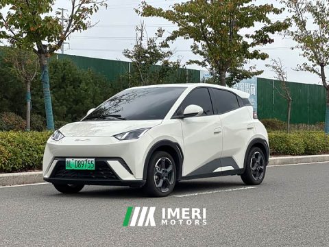 2023 BYD Seagull Freedom Edition - ავტომობილი ჩინეთიდან