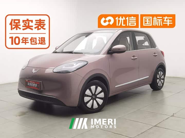 Wuling Binguo 203km Comfort Edition - ავტომობილი ჩინეთიდან