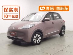 Wuling Binguo 203km Comfort Edition - ფოტო 1